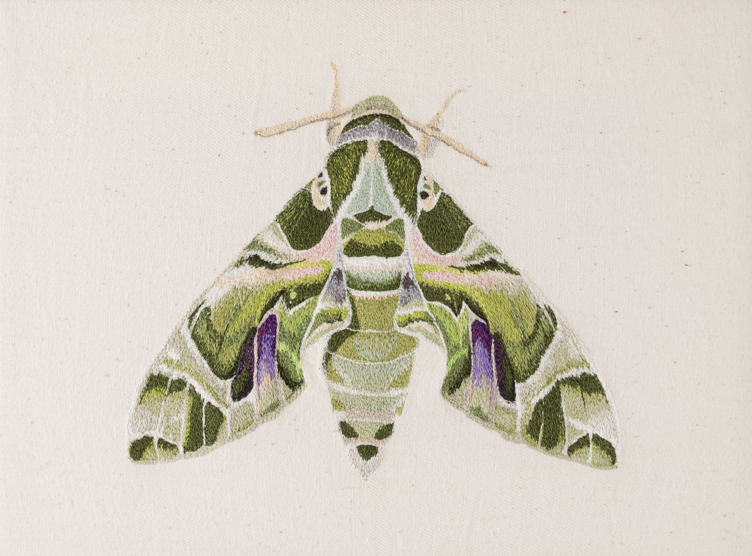 Oleander Hawkmoth Embroidery