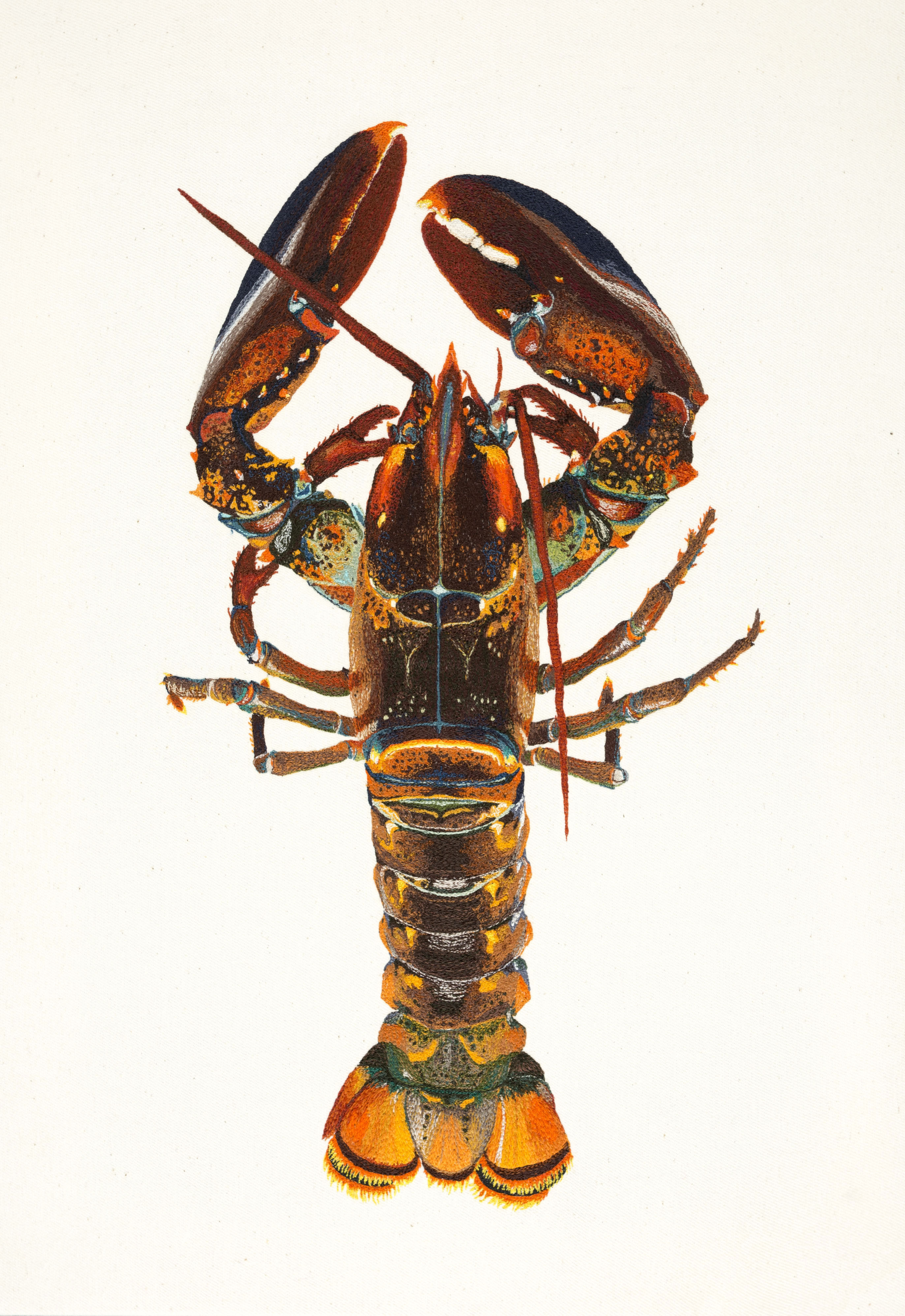 Lobster Embroidery Rose Miller