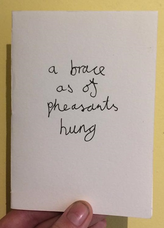 'a brace as of pheasants hung', poetry pamphlet by Joey Frances and hateself